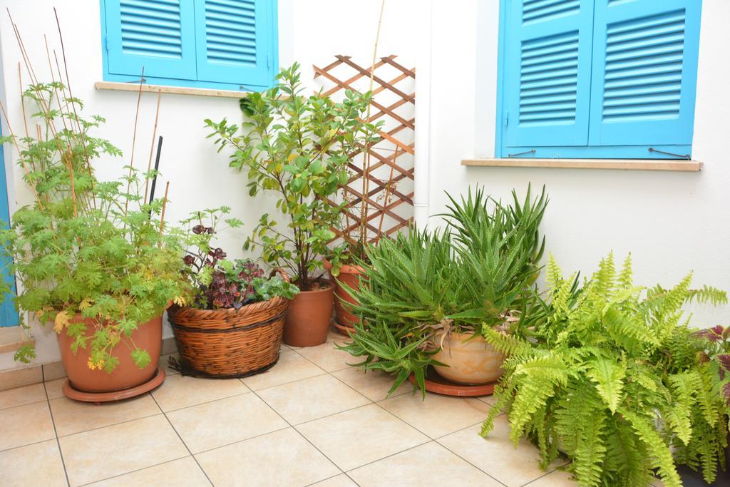 Cypriot Swallow Boutique Hotel Nikosia Eksteriør bilde